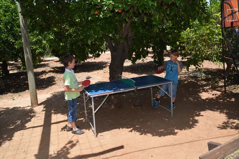 שולחן טניס בגינה באירוע